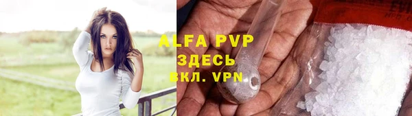 дживик Володарск