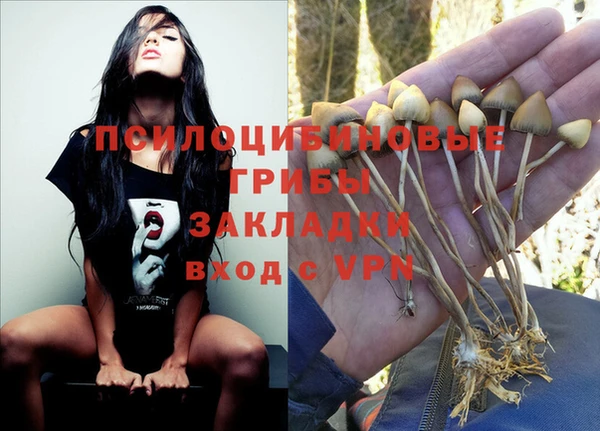дживик Володарск