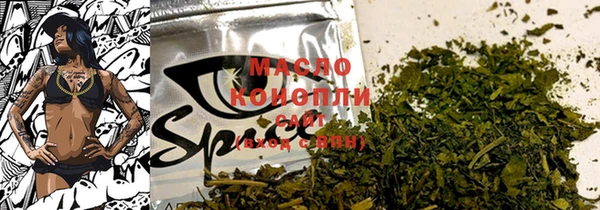 дживик Володарск