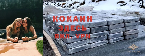дживик Володарск